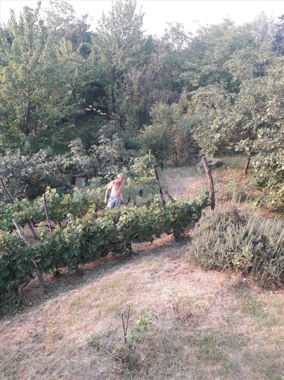 Kuca sa prelepim pogledom na Dunav — 12