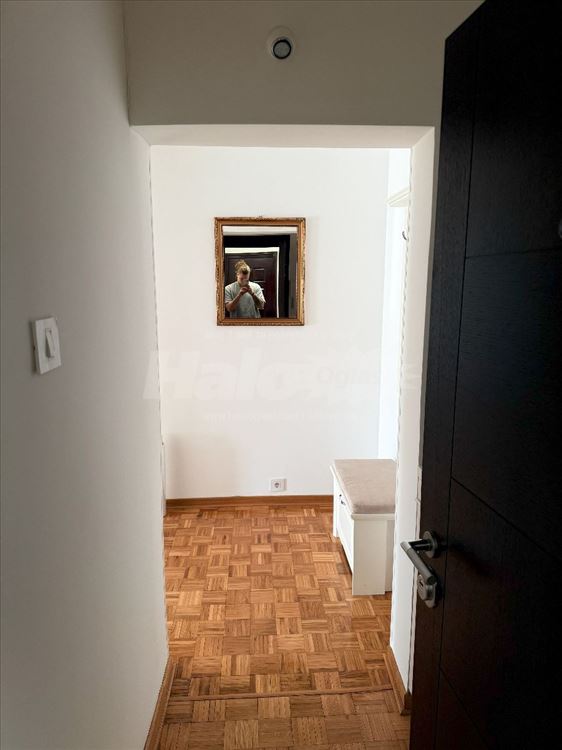Lep i svetao stan na Bežanijskoj kosi — 3