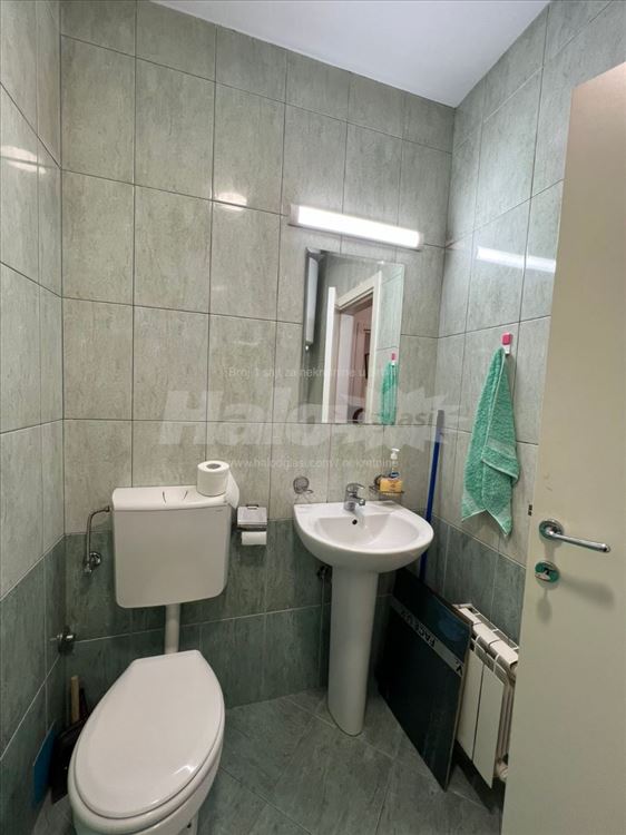 Lep stančić na Bulevaru kralja Aleksandra 520 — 5
