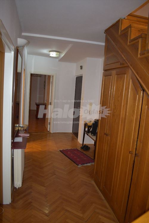 Lion, tih, renoviran i svetao stan — 5