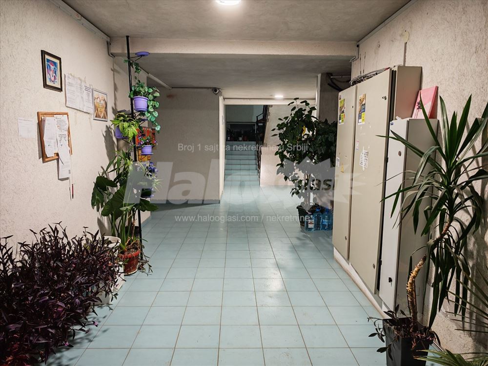 Ljubiše Miodragovića, Mirijevo, 2.0 dvosoban, 50m2 — 2