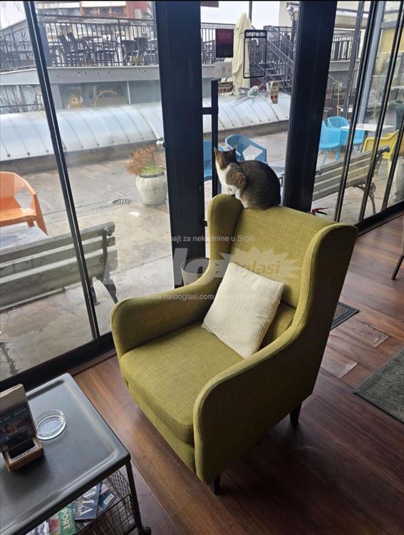 Lokal-Kafe bar Bistro — 4