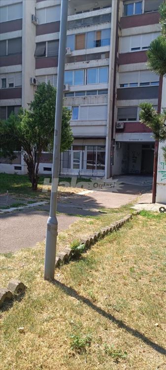 Lokal za izdavanje — 11