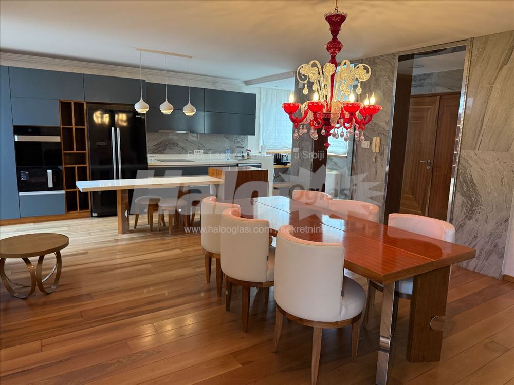 Lux 250m2 Vracar bez provizije — 7