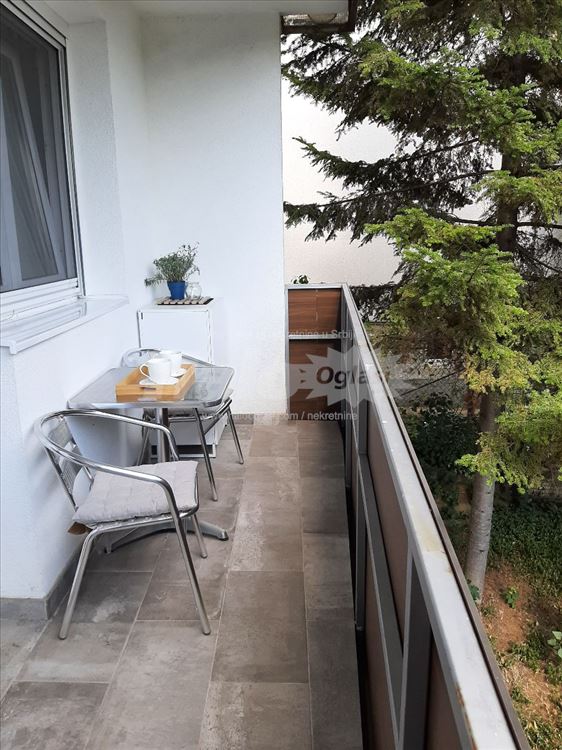 Lux -Banovo brdo- Košutnjak — 9