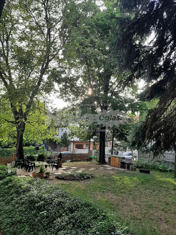 Lux -Banovo brdo- Košutnjak — 13