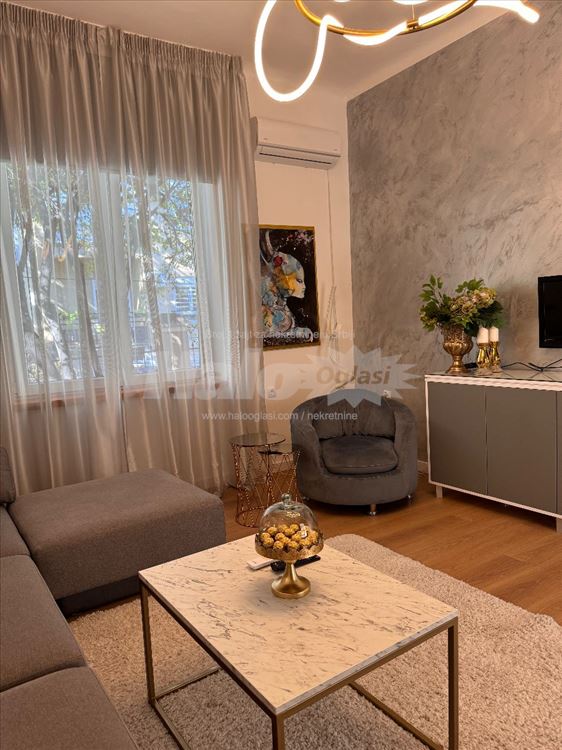 Lux pet frendly Takovska velika terasa — 13
