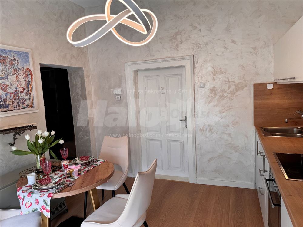 Lux pet frendly Takovska velika terasa — 15