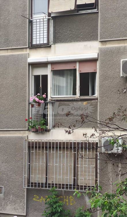 Mirno, ka zelenilu, Vračar — 2