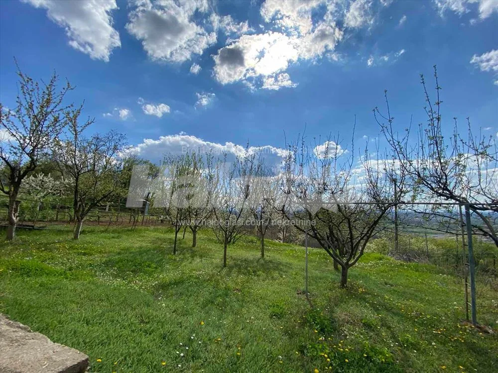 Mislođin, kuća sa voćnjakom i panoramskim pogledom — 4