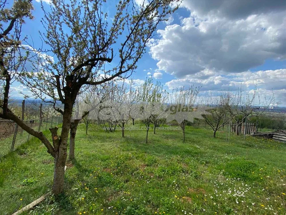 Mislođin, kuća sa voćnjakom i panoramskim pogledom — 5