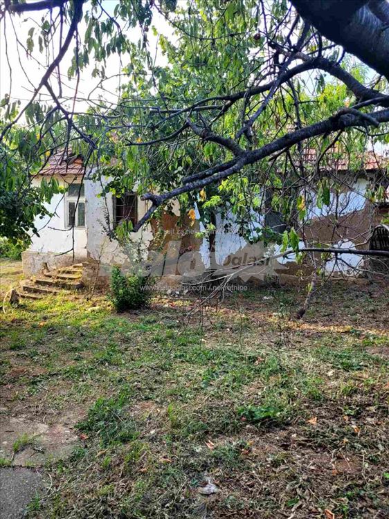 Mladenovac, selo Vlaška, kuća — 11