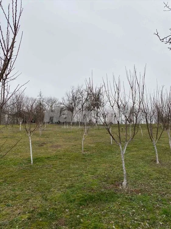 Na prodaju kuća sa velikim placem — 12