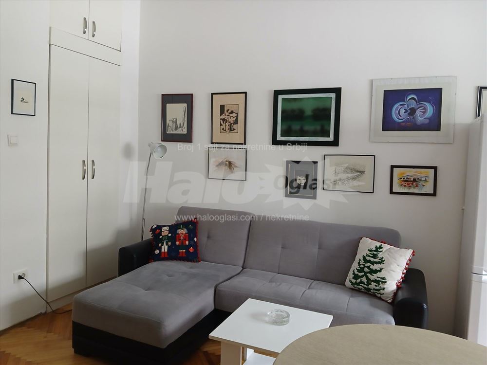 Nameštena funkcionalna garsonjera,Tašmajdan,centar — 4