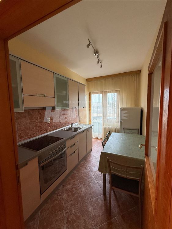NBG, Paviljoni, 55m2 – Kod Instituta, namešten — 2