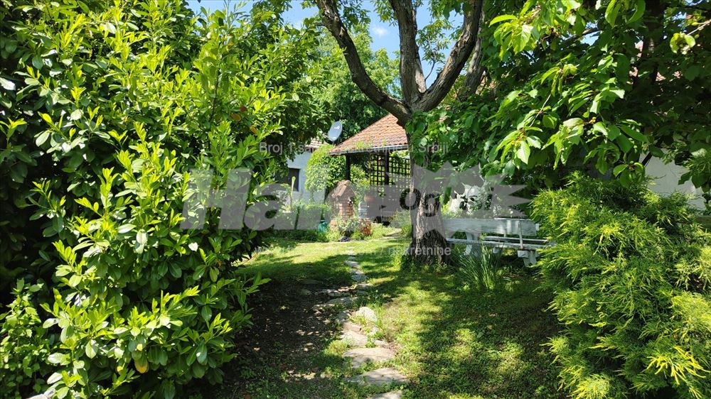 Nemenikuće Kosmaj - porodično imanje — 7