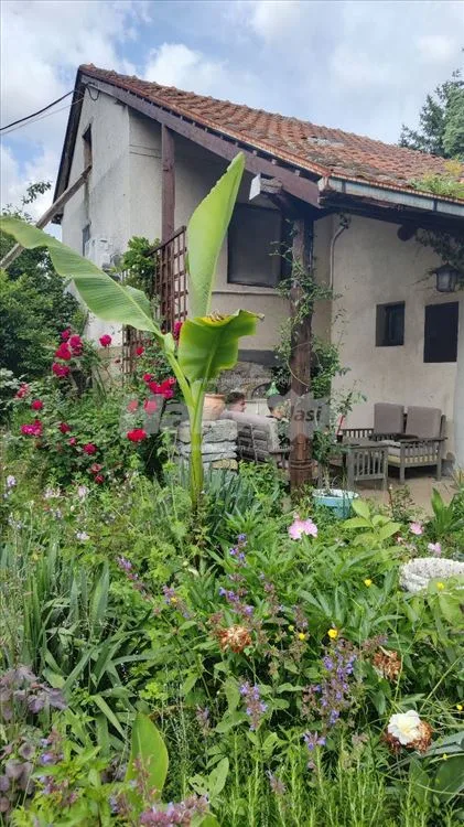 Nemenikuće Kosmaj - porodično imanje — 9
