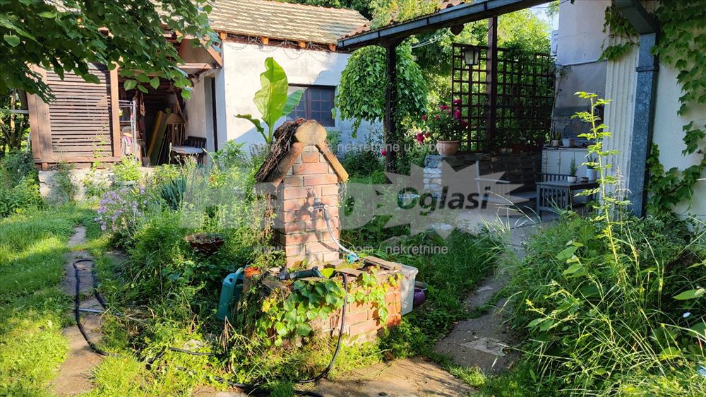 Nemenikuće Kosmaj - porodično imanje — 10