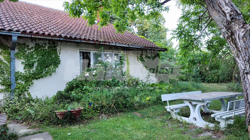 Nemenikuće Kosmaj - porodično imanje — 14