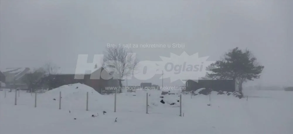 Nova kuća u Borči — 4