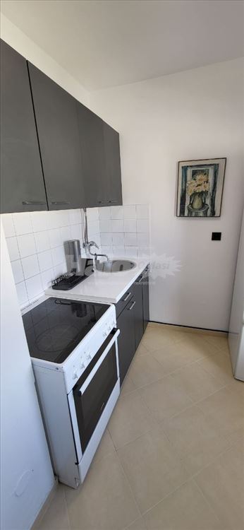 Novi Beograd, dr Ivana Ribara, 50 m2, namešten — 11