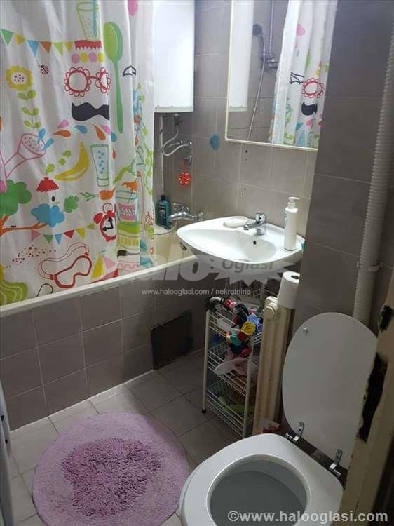 Novi Beograd, Dr. Ivana Ribara, odličan — 8
