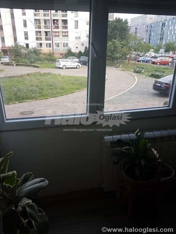 Novi Beograd, Dr. Ivana Ribara, odličan — 13
