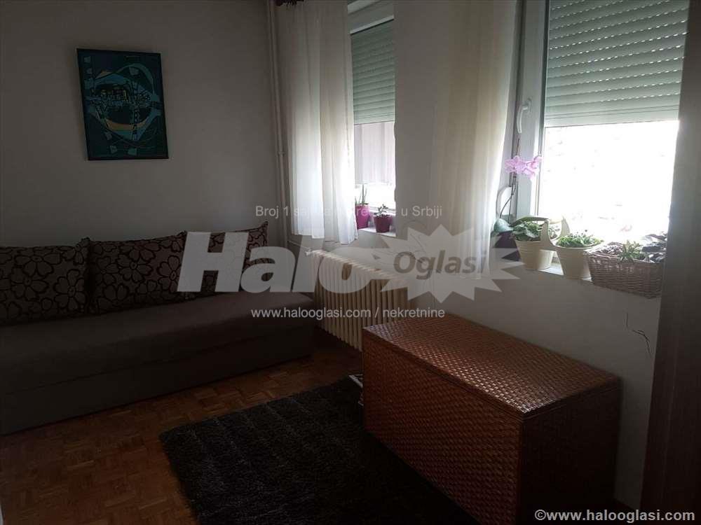 Novi Beograd, Dr. Ivana Ribara, odličan — 14