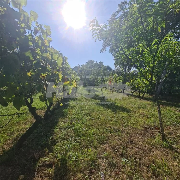 Novo, 26 ari, granica Tresnje i Ralje — 2