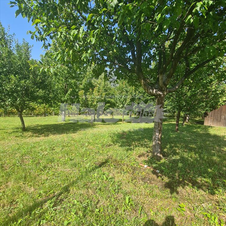 Novo, 26 ari, granica Tresnje i Ralje — 7
