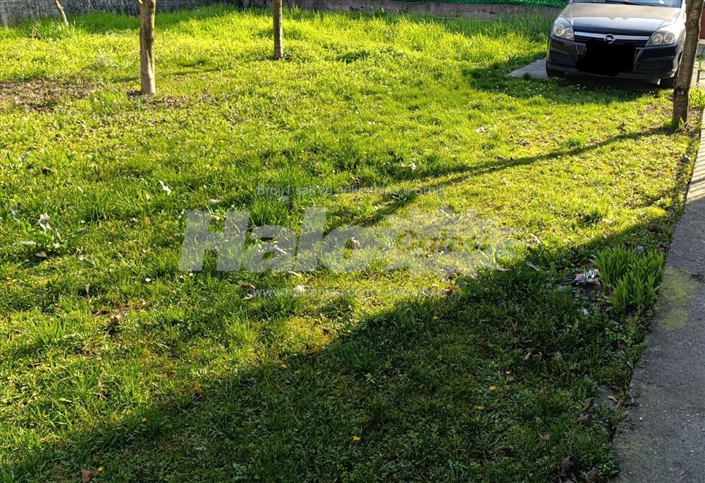 ODLICNA lokacija 40m² Zemun — 15