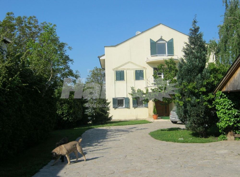 Panoramski pogled na Dunav- Pregrevica, Zemun — 3
