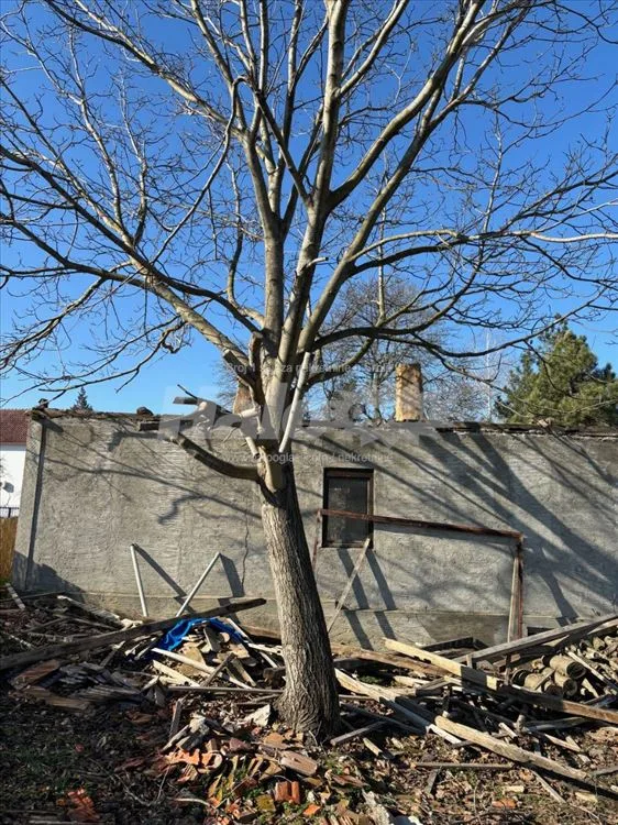 Plac 14 ari sa uknjiženom kućom – Mali Požarevac — 2