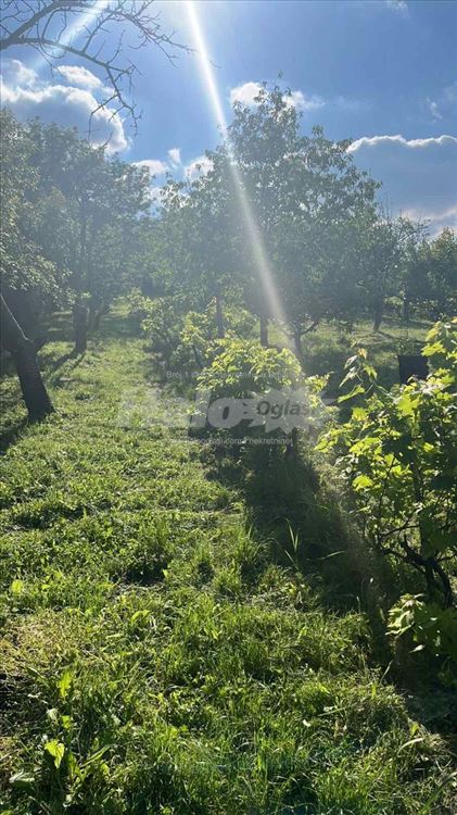 Plac/ Zemljište sa kućom Grocka 31ar — 2