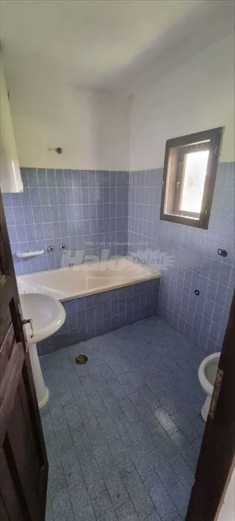 Porodična kuća sa 64 ari placa kod Obrenovca — 9