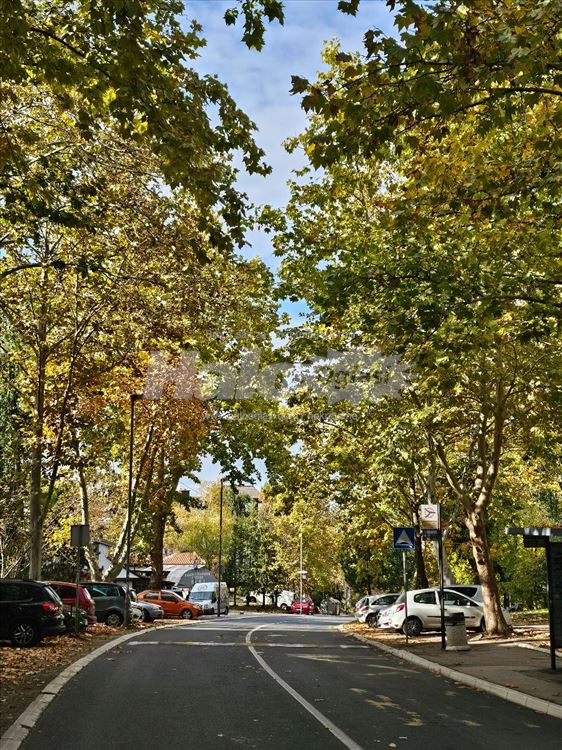 Potpuno Renoviran Oaza Mira I Udobnosti Mirijevo 4 — 13