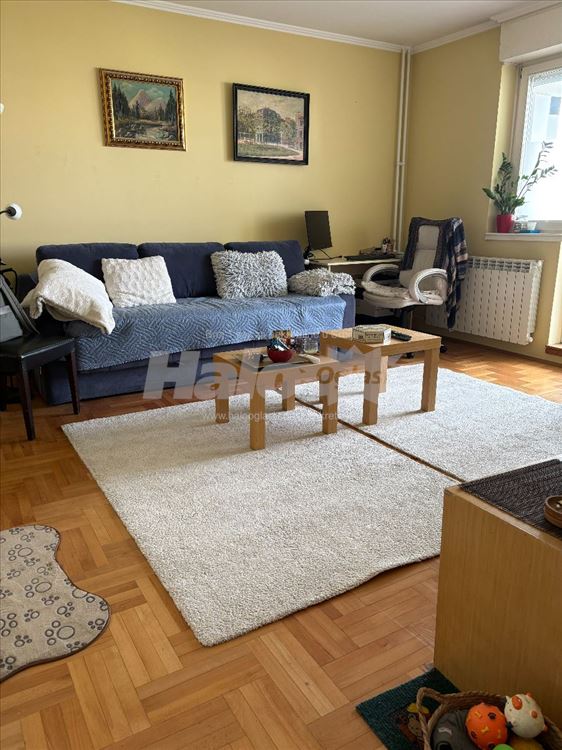 Potrebna cimerka za deljenje lepo uređenog stana — 6