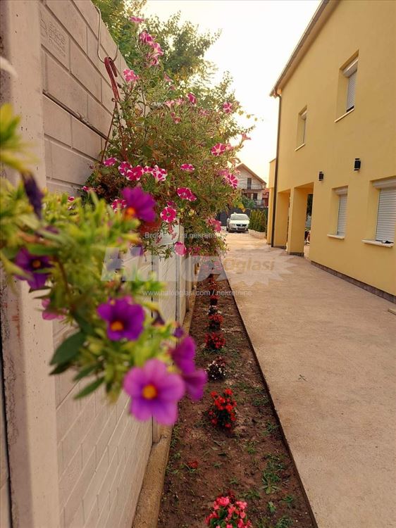 Predivna Kuca  na velikom placu - 6km od Beograda — 2
