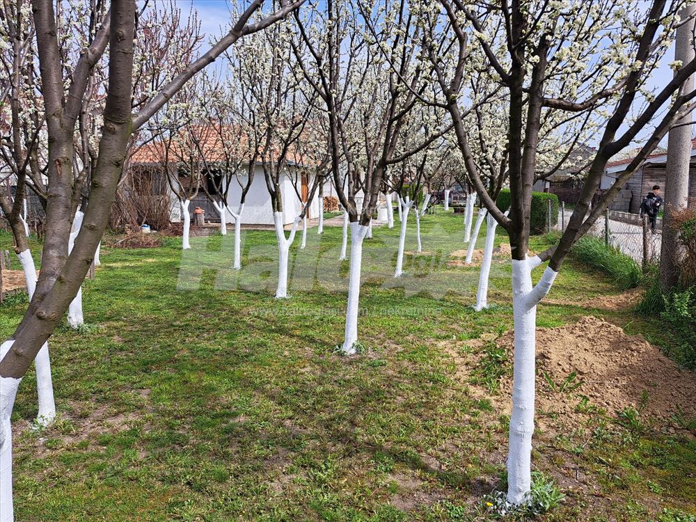 Prelepa prostrana porodična kuća u Borči — 6