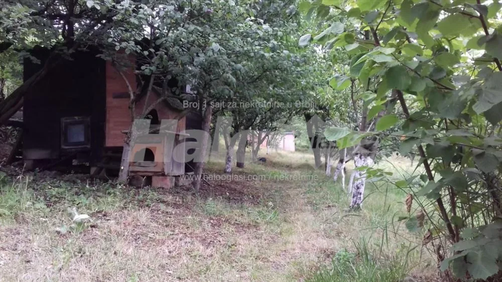 Prodaja kuce-Drazevac — 4