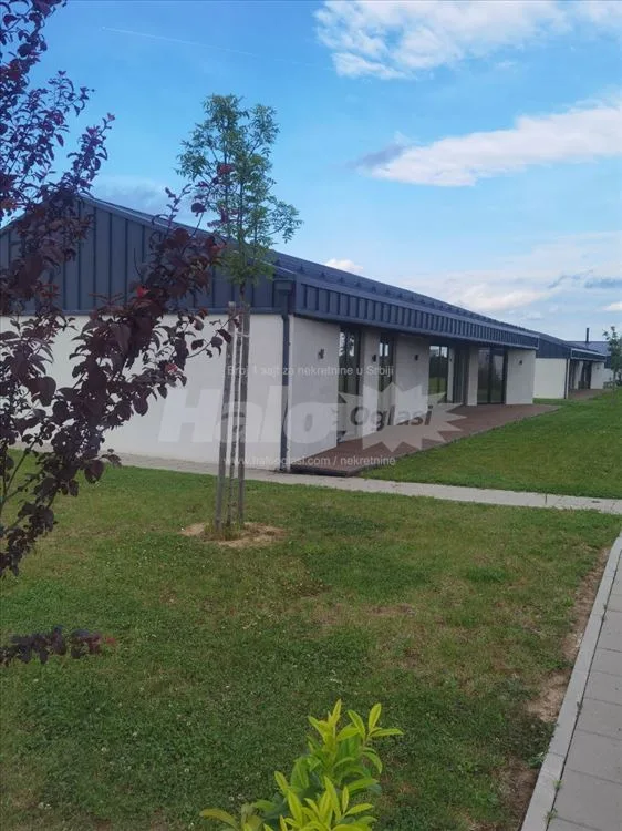 Prodaja kuce na Kosmajskim vrtovima - investitor — 6