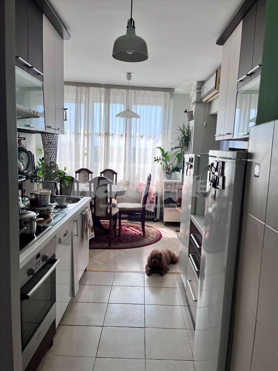 Prodaja- Marije Bursac , Zemun — 12