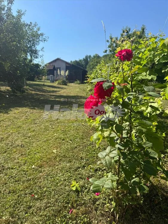 Prodajem prelepu vikendicu u Drazevcu — 3