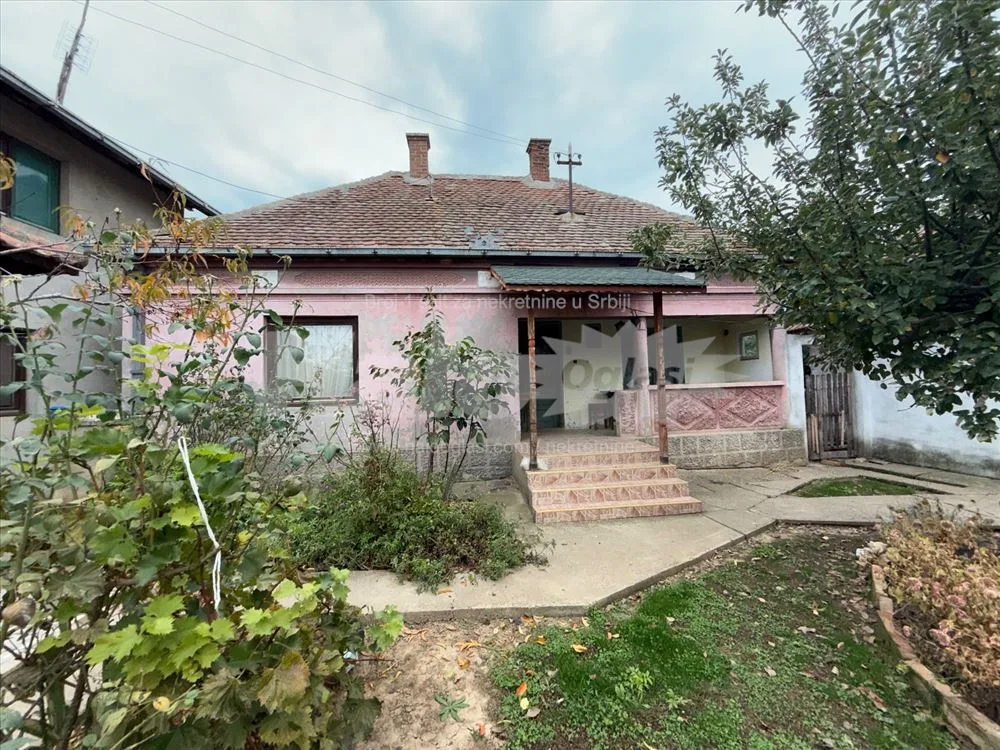 Prodajem uknjizeno i veliko domacinstvo blizu BG — 4