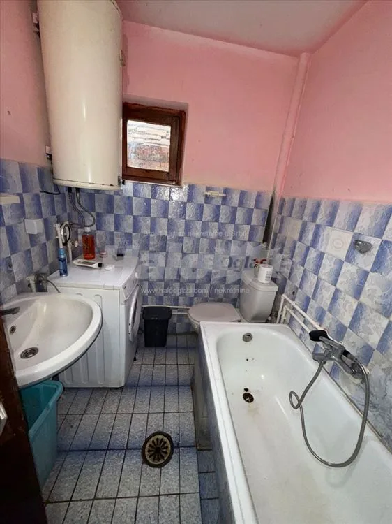 Prodajem uknjizeno i veliko domacinstvo blizu BG — 8