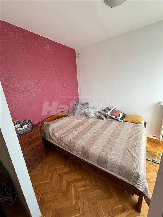 Profesorska kolonija, Hala Pionir, 1.5, 41kv — 6