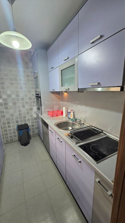 PRVI NAJAM – Renoviran stan, Bežanijska Kosa — 8