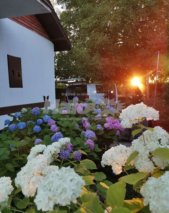 Raj na 10 ari, uknjiženo, pola sata od Beograda — 2