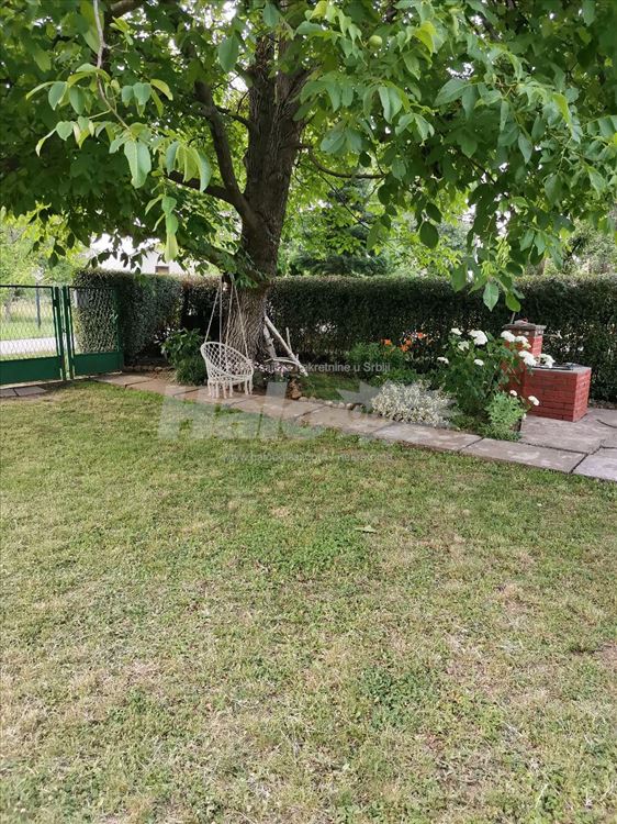 Raj na 10 ari, uknjiženo, pola sata od Beograda — 5