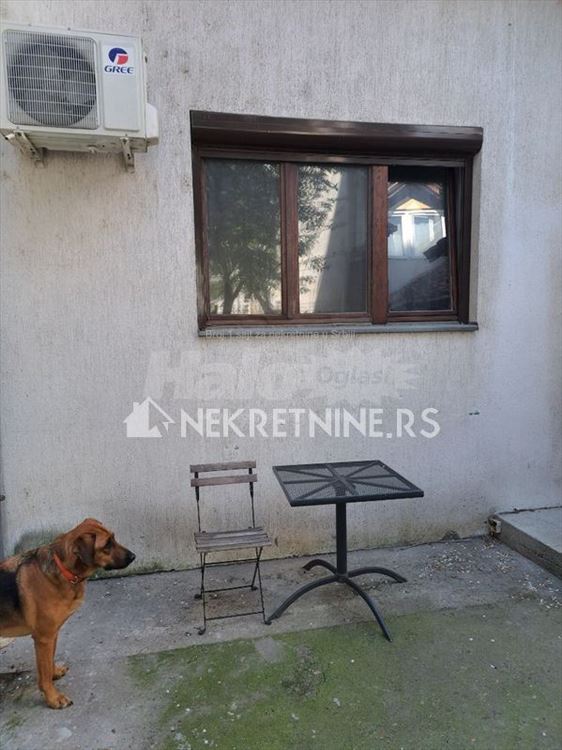 Renoviran stan u kuci useljiv odmah odlicna lokacI — 10